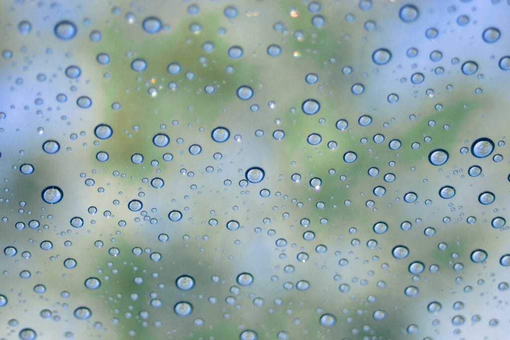 sommarregn och fukt i Stockholm